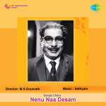Nenu Naa Desam