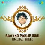Baayko Pahije Gori
