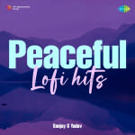Peaceful Lofi hits