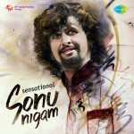 Sensational Sonu Nigam