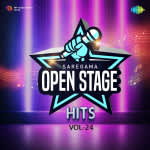 Open Stage Hits - Vol 24