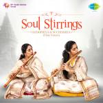 Soul Stirrings