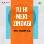 Tu Hi Meri Zindagi