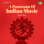 A Panorama Of Indian Music