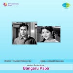 Bangaru Papa