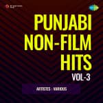 Punjabi Non-Film Hits Vol-3