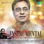 Instrumental - Best Of Jagjit Singh