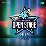 Open Stage Hits - Vol 66