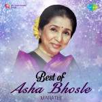 Best of Asha Bhosle - Marathi