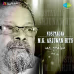 Nostalgia M.K. Arjunan Hits
