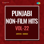 Punjabi Non-Film Hits Vol-22