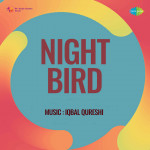 Night Bird