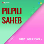 Pilpili Saheb
