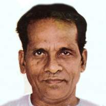 Nageswara Rao Pendyala Image