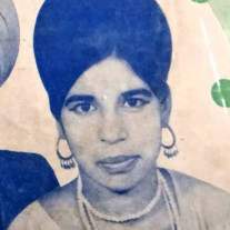 Satinder Biba Image
