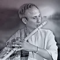 Pt. Vijay Raghav Rao Image