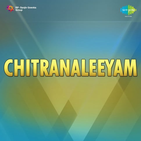 Album Blurred Banner Image