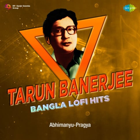 Album Blurred Banner Image