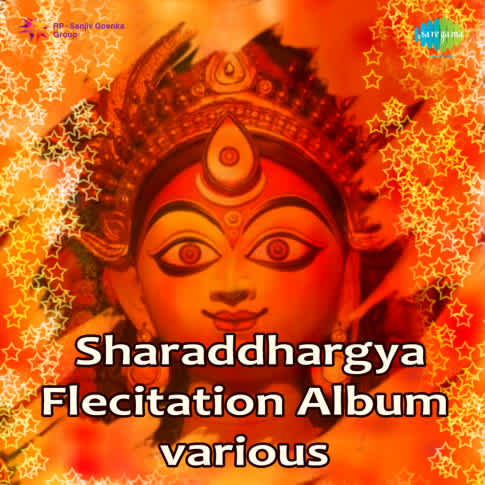 Album Blurred Banner Image