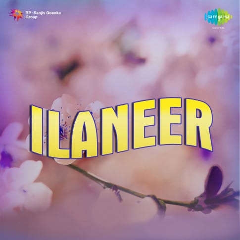 Album Blurred Banner Image
