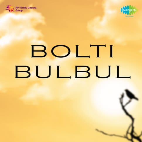 Album Blurred Banner Image
