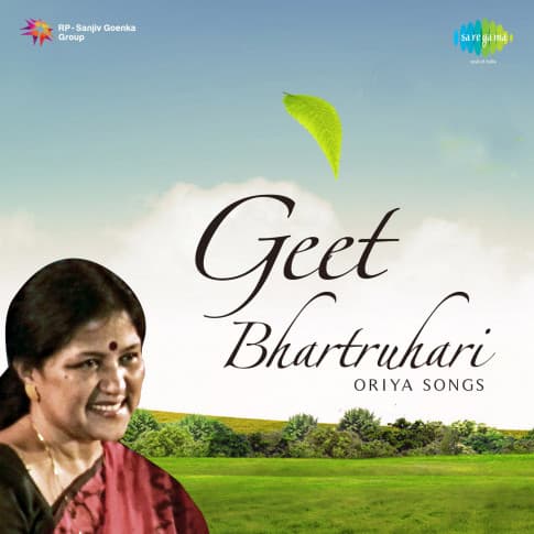 Album Blurred Banner Image