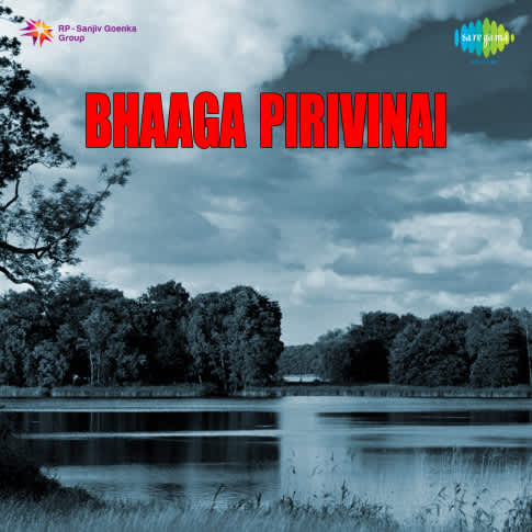 Album Blurred Banner Image