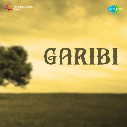 Album Blurred Banner Image