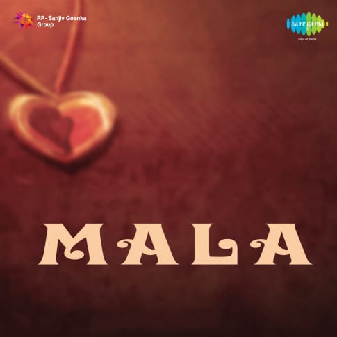 Album Blurred Banner Image