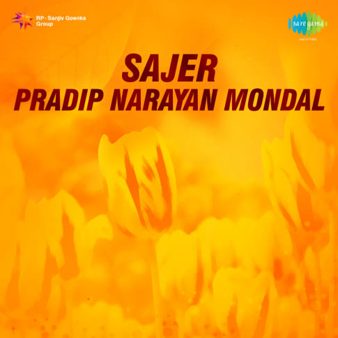 Album Blurred Banner Image