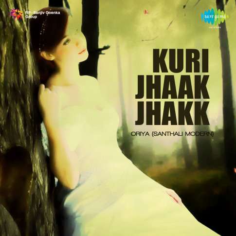 Album Blurred Banner Image