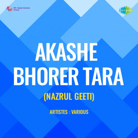 Album Blurred Banner Image