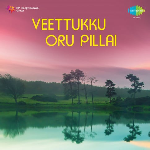 Album Blurred Banner Image