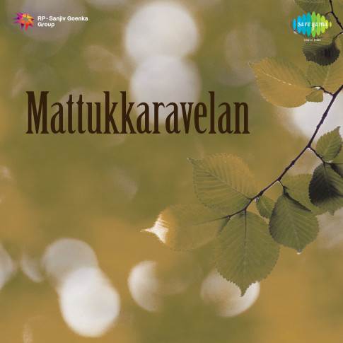 Album Blurred Banner Image