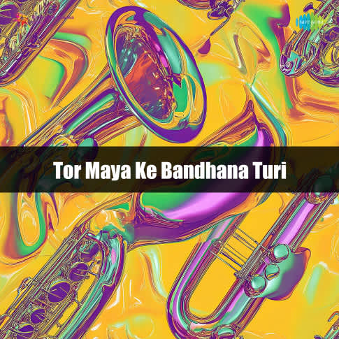Album Blurred Banner Image