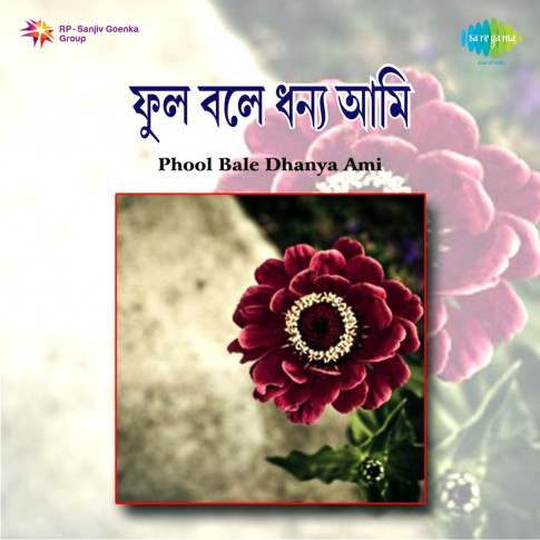 Album Blurred Banner Image