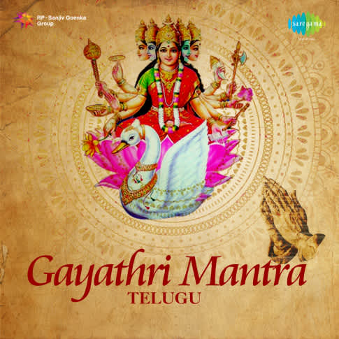 Album Blurred Banner Image