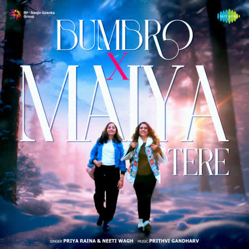 Album Blurred Banner Image