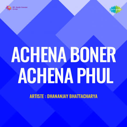 Album Blurred Banner Image