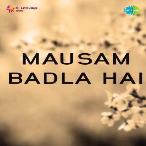 Album Blurred Banner Image