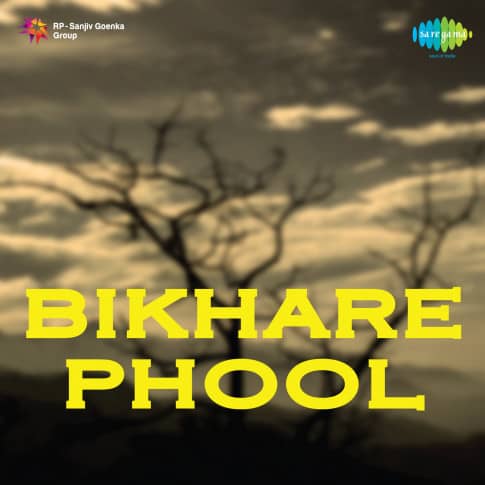 Album Blurred Banner Image