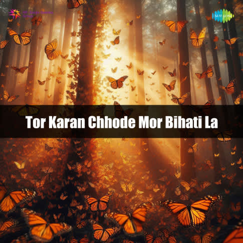 Album Blurred Banner Image