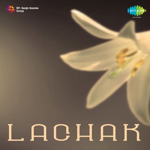 Album Blurred Banner Image