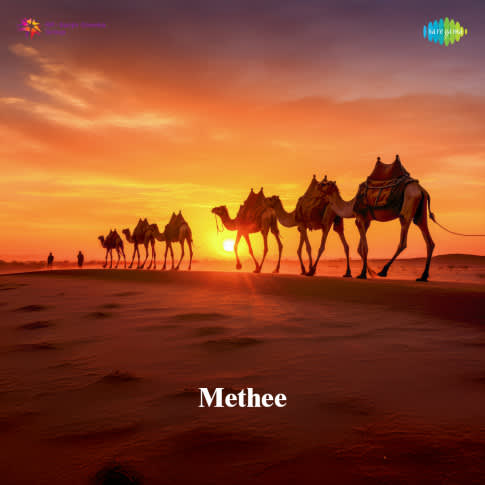 Album Blurred Banner Image