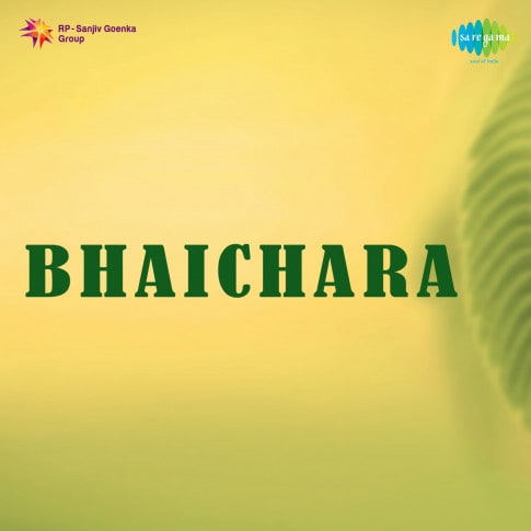 Album Blurred Banner Image