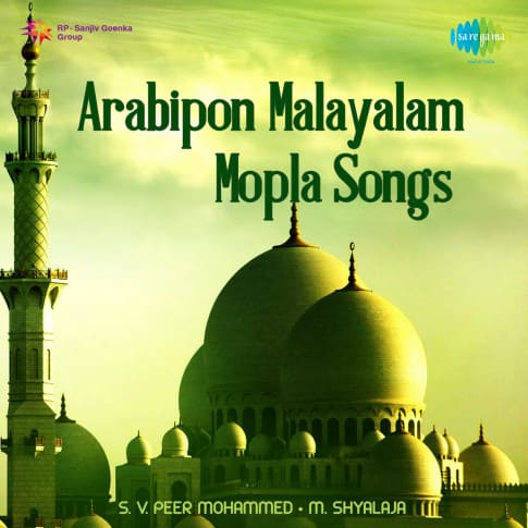 Album Blurred Banner Image