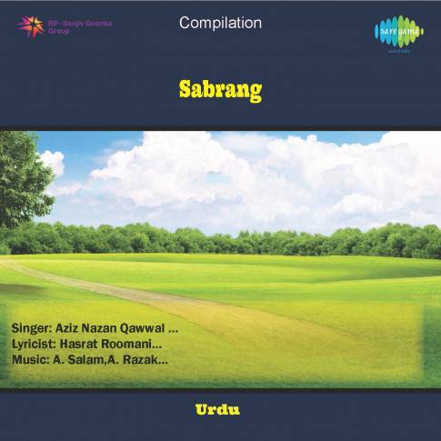 Album Blurred Banner Image