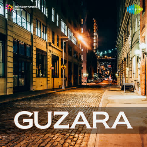 Album Blurred Banner Image