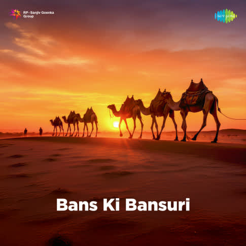 Album Blurred Banner Image