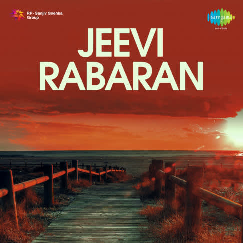 Album Blurred Banner Image